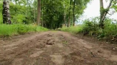 Bu görüntüler kırsal kesitten geçen kırsal bir patikanın zemin katını gösteriyor. Yol yeşil ağaçlarla çevrili, tepe örtüsü aralıklı gölgeler sağlıyor. Topraksı yol