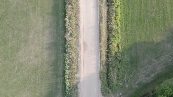 上面的镜头显示了一个简单的土路交叉口在一个牧区的环境中 两条交叉的小径 与茂密的田野和树木交织在一起 表明了人们的选择和宁静 — 图库视频影像