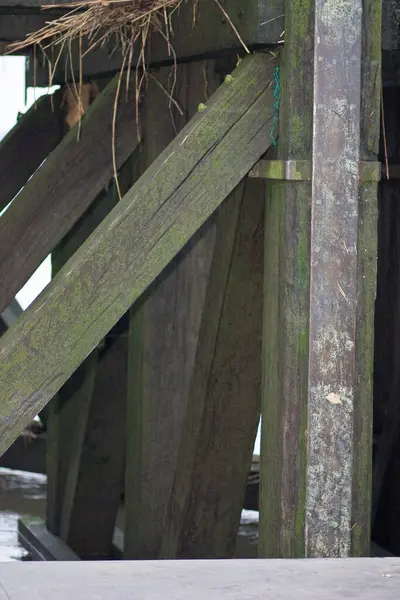 This image presents a close-up view beneath a pier, where the strength of the wooden beams and pillars is on full display. The weathered wood, covered with patches of moss and intertwined with shadow
