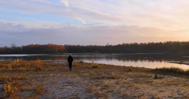 这个令人联想起的视频捕捉了黎明的宁静本质 一个孤独的身影沉思地站在一个宁静的湖边 清晨的晨光在温暖的光芒中沐浴着风景 散发着淡淡的光芒 — 图库视频影像