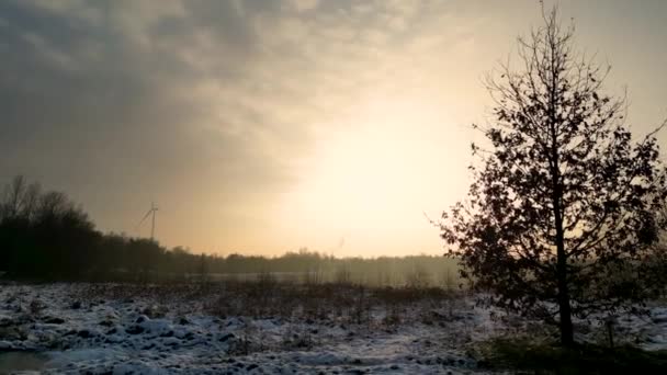 Atmoszférikus Drónfelvétel Egy Derűs Téli Reggelt Rögzít Ahogy Felkelő Nap — Stock videók