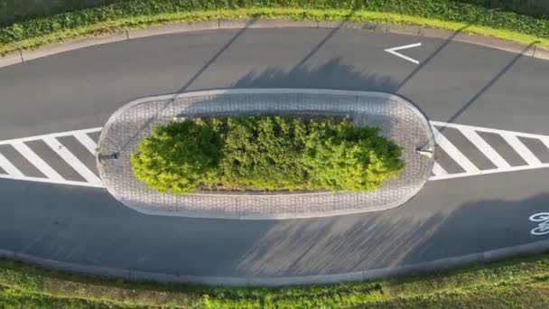 このドローン映像は 都市のアスファルト道路の間に位置する緑豊かな木で飾られた交通島のユニークなトップダウンの視点を提供します 自然に対する緑のコントラスト — ストック動画