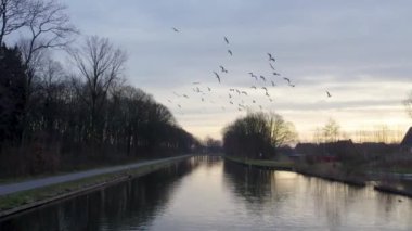 Bu sakin drone görüntüsü sabahın erken saatlerinde çıplak ağaçlarla çevrili sakin bir kanal boyunca sakin bir sahne sunuyor. Bir kuş sürüsü serin şafak havasında uçar ve dinamik bir element ekler.