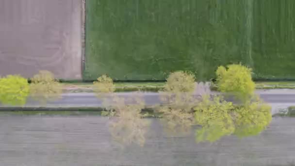 一架无人驾驶飞机沿着乡间农田上生长的麦田 在沙砾路上空盘旋 高质量的4K镜头 — 图库视频影像