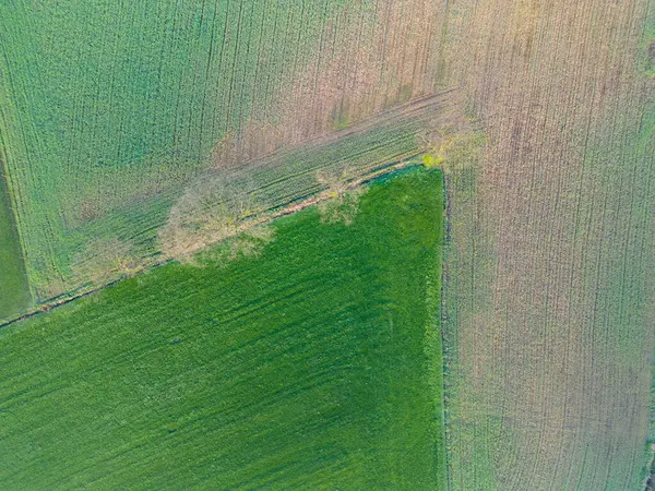 This image presents an aerial perspective of a farmland mosaic, showcasing varying shades of green and brown fields. The stark linear demarcation between the fields is softened by the presence of a