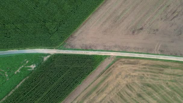 这段无人驾驶飞机拍摄的镜头显示了茂盛的绿色耕地与邻近休耕土地之间的鲜明对比 说明了农业景观的杂乱性质 分隔线和 — 图库视频影像