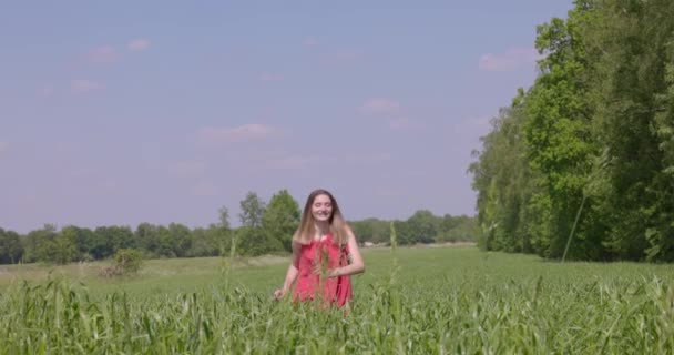 Цьому Сердечному Кадрі Молода Жінка Яскраво Червоній Сукні Радісно Йде — стокове відео
