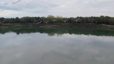 Bu ilham verici drone görüntüsü, el değmemiş bir gölün ayna benzeri sularında uçan bir kuş sürüsünü yakalıyor. Gölün sakin yüzeyi kuşların hareketlerini yansıtıyor ve bir senfoni oluşturuyor.