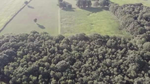 この無人機の映像は 農場や隣接する森林のさまざまな風景をエレガントに広げ 日没時に田舎の豊かな多様性を捉えています 木々が生み出した長い影 — ストック動画