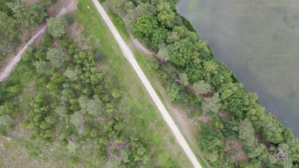Беспилотник Снимает Захватывающее Пересечение Лесная Дорожка Пересекает Безмятежный Водный Путь — стоковое видео