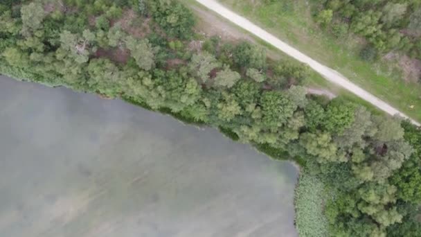 この印象的な無人機の映像は 評判の良い森のフリンジと浅い湖の澄んだ水の間の美しい相互作用を捉え 砂浜の底は穏やかな水を通して見ることができます イギリス — ストック動画