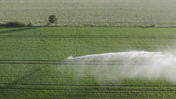 这段录像展示了在一片生机勃勃 茂盛的农田里的灌溉过程的空中画面 相机捕捉到了淋浴器中的水的动态喷射 — 图库视频影像
