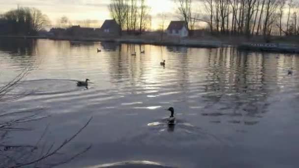 Dessa Stockvideoklipp Visar Den Fridfulla Skönheten Flod Vid Solnedgången Med — Stockvideo