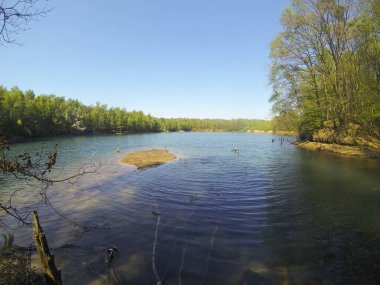 Bu geniş manzara, ormanda yuva yapmış sakin bir gölü yakalar. Güneş ışınları ağaçların arasından süzülür, suyun üzerine sıcak bir parıltı yayar ve yaprakları yumuşak, doğal bir ışıkla aydınlatır. Şey...