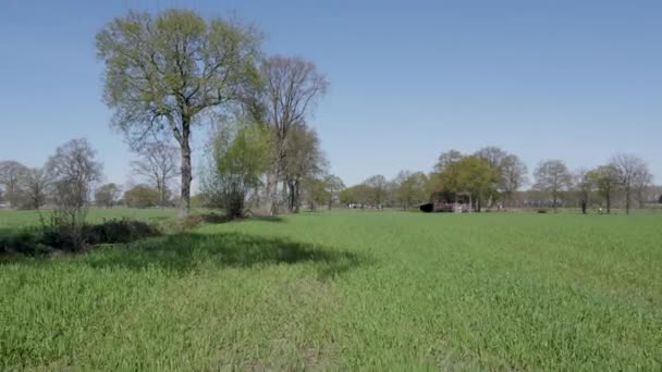 这段录像包含了乡村春天的田园诗般的美丽 它扫过一个乡村牧地 在一片清澈的树下 展现着生机勃勃的绿地点缀着成熟的树木 — 图库视频影像