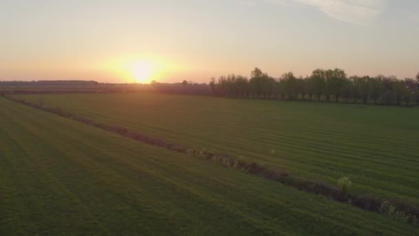 Stok Görüntüler Sakin Bir Kırsal Bölgede Güneşin Doğuşunun Huzur Verici — Stok video