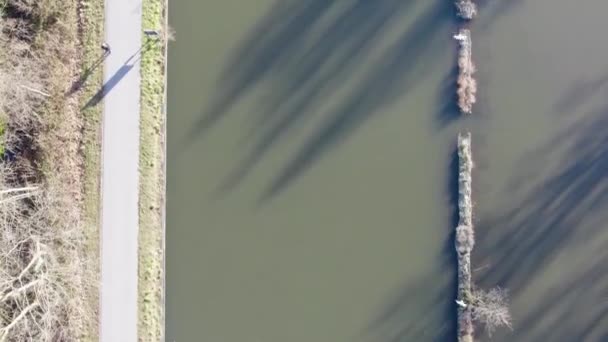 Стокове Зображення Являє Собою Спокійний Накладний Знімок Вузького Мосту Перетинає — стокове відео