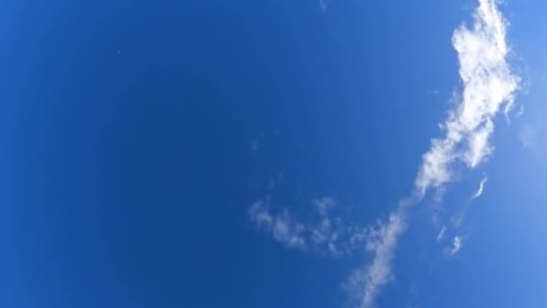 Görüntüler Kümülüs Bulutlarının Açık Mavi Gökyüzünde Zarafetle Sürüklenirken Nefes Kesici — Stok video