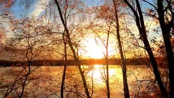 Cette Séquence Capte Magnifiquement Les Moments Enchanteurs Coucher Soleil Travers — Video