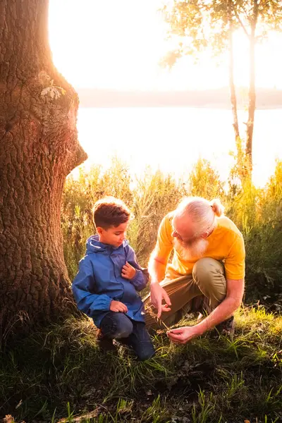 The image beautifully illustrates a teaching moment between a grandfather and his young grandson in the enchanting light of dusk by a lakeside. The elderly man, with a white beard and in a yellow