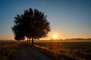 Bu, güneş doğarken ağaçların siluetinden süzülen güneş ışınlarıyla birlikte kırsal bir yolun çarpıcı bir görüntüsü. Fotoğrafın perspektifi, izleyicilerin gözünü yol boyunca çeker