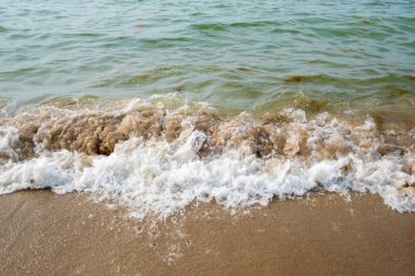 Bu dinamik görüntü, okyanusun gücünü ve hareketini gösteren köpüklü bir dalganın kumlu kıyıya çarptığı anı yakalar. Denizler yeşilimsi renklerle kahverengi kumlar ve beyaz kumlarla çelişiyor.