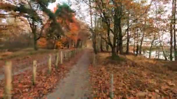 这一次 扭曲的镜头吸引了观众沿着森林小路进行着一次充满活力的旅行 充满了秋天树叶的红润和金黄的色调 高速旅行的影响加剧了 — 图库视频影像
