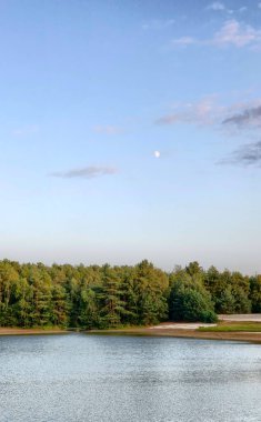 The image showcases a tranquil lake with a gentle ripple on the water surface, reflecting the waning light of dusk. A dense forest of coniferous trees forms a dark green band that separates the lake clipart