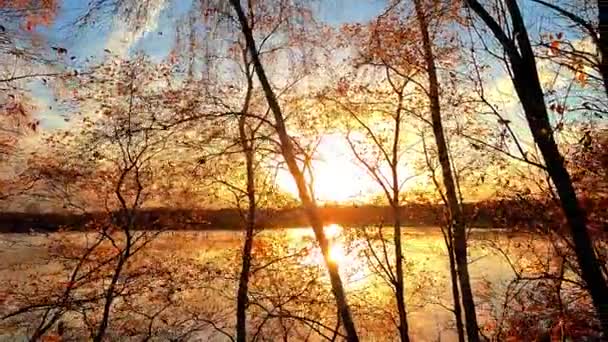 매혹적인 비디오는 조용한 호수에서 조용한 피어싱 놀라운 일몰을 묘사합니다 바람에 — 비디오