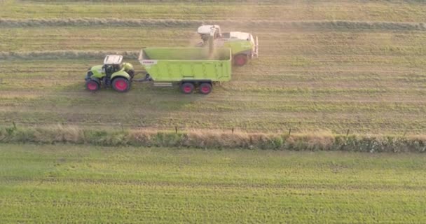 この魅惑的な空中映像は 広大な分野での作業で最先端のハーベスターで現代農業の効率を示しています ハーベスターが収集し 作物を処理するので 材料は — ストック動画