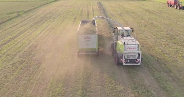 Lenyűgöző Légi Felvétel Bemutatja Modern Mezőgazdaság Hatékonyságát Egy Élvonalbeli Aratógéppel — Stock videók