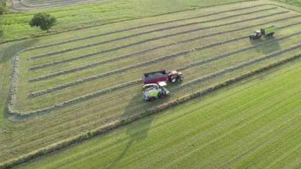 Захватывающая Воздушная Съемка Обеспечивает Обзор Сельскохозяйственной Техники Выполняющей Синхронный Сбор — стоковое видео
