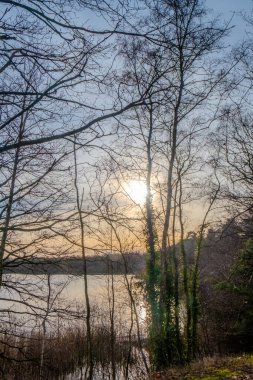 Sakin bir kış manzarası, sakin bir göle bakan bir ormanın siluetli dallarından süzülen alçak güneş gibi görünür. Güneşin suya yansıması ışığı güçlendirir ve bir yol yaratır.