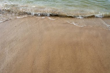 Bu görüntü, kumlu bir kıyıya çarpan nazik dalgaların basitliğini ve sakinliğini yakalar. Açık su, daha koyu yeşilimsi bir tondan daha açık bir tona dönüşür.