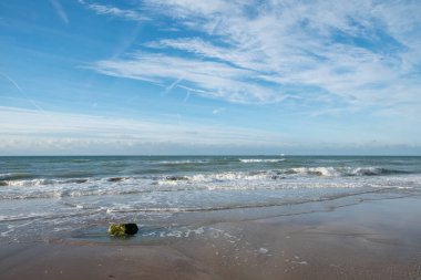 Bu davetkar görüntü, ince bulutlarla çizilmiş engin mavi gökyüzünün altındaki kumlu bir sahilin geniş bir manzarasını sergiliyor. Yumuşak dalgalar kıyıya vurur ve kumda yumuşak köpüklü desenler oluşturur. Yalnız bir parça.