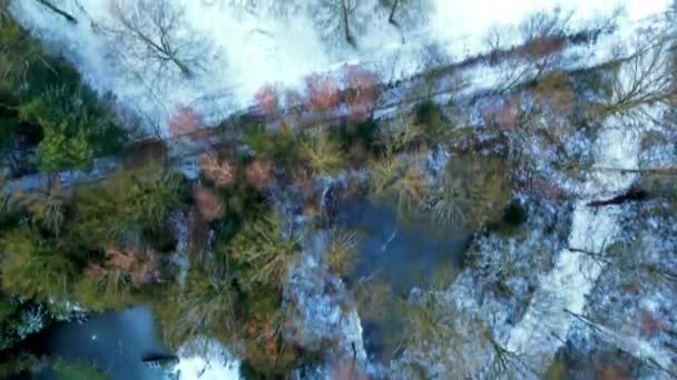 このストック映像は 冬の水路の魅惑的な空中ビューを撮影し 木の裸の枝が優雅に雪に覆われた銀行をエッジし 氷に反射して まだ下の水をキャスティングします — ストック動画