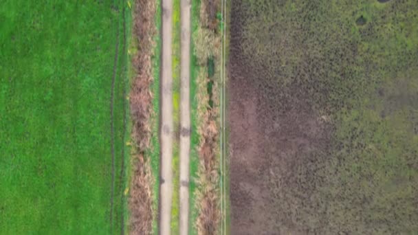 このストック映像は カントリーロードが2つの異なるテラスを分けるという興味深い空中コントラストを明らかにしています 緑豊かな畑は農業の活力を意味し もう一方は — ストック動画