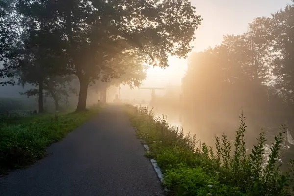 Bu görüntü, izleyiciyi sabah sisinin yumuşak kucaklamalarıyla örtülü bir manzara boyunca uzanan sakin bir yolculuğa davet eder. Güneş, gökyüzündeki puslu bir küre, ışığını filtreler