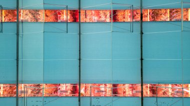 Bu resim sera duvarlarının serin mavi arka planına karşı dikey bir tarım yapısı içinde ışıldayan LED panelleri ustaca yakalar. Çarpıcı görsel karşıtlık karışımı gösterir