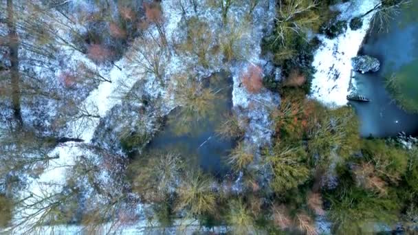 この詩的なストック映像では 空中カメラは穏やかに流れる流れの上に木の枝の踊りを優雅に捉え 雪で軽くブラッシングしました ストリームの自然なモザイク ダークウォーター — ストック動画