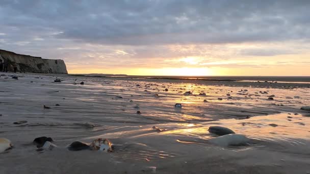 Questo Video Cattura Riflessi Ipnotizzanti Tramonto Una Spiaggia Costellata Conchiglie — Video Stock