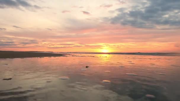 这些图像描绘了海滩上宁静的日落时刻 在那里 滑雪板的柔和色调和金色的阳光反射在潮湿的沙滩上 平静的海水产生了镜面般的效果 提供了 — 图库视频影像