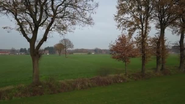 Tranquil Rural Scene Unfolds Camera Moves Overcast Autumn Day Capturing — Stock Video