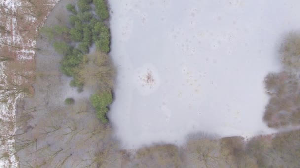 Съемка Беспилотника Запечатлевает Безмятежную Красоту Частично Замерзшего Озера Окруженного Заснеженным — стоковое видео