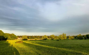 Bu görüntü, sabah güneşinin sıcak, altın ışığında yıkanmış canlı yeşil bir tarlayı gösteriyor. Uzun gölgeler çimenler boyunca uzanıyor ve manzaraya derinlik ve doku katıyor. Uzak ağaçlar