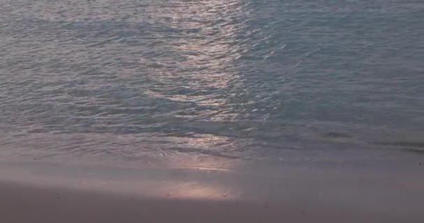 この平和な映像は 太陽が沈むように砂浜に漂う穏やかな波を捉え 水の上に柔らかい光を投げかけています 波と静かな雰囲気の穏やかな動きがこれを作ります — ストック動画