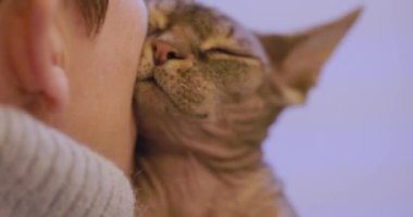 Bu yavaş çekim bir Sphynx kedisi ve sahibi arasındaki samimi ve sevgi dolu etkileşimi yakalar. Yakın çekimler, tüysüz kedinin benzersiz özelliklerini vurguluyor.