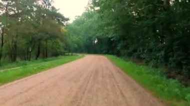 Bu video bereketli yeşilliklerle çevrili tenha bir orman yolunun çekiciliğini yakalıyor. Hareketli bir perspektiften çekilen görüntüler, yükselen ağaçlarla çevrili çakıllı bir yolda ilerliyor.