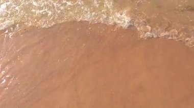 Bu sakin görüntü, kumlu bir sahile vuran yumuşak dalgaların rahatlatıcı hareketini yakalar. berrak, güneşli su okyanusa doğru geri çekilirken ışıldıyor ve ıslak kum parlıyor.