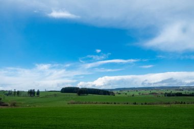 In the background, there is a beautiful blue sky with fluffy clouds, overlooking a luscious green field filled with vegetation and grass in a rural area